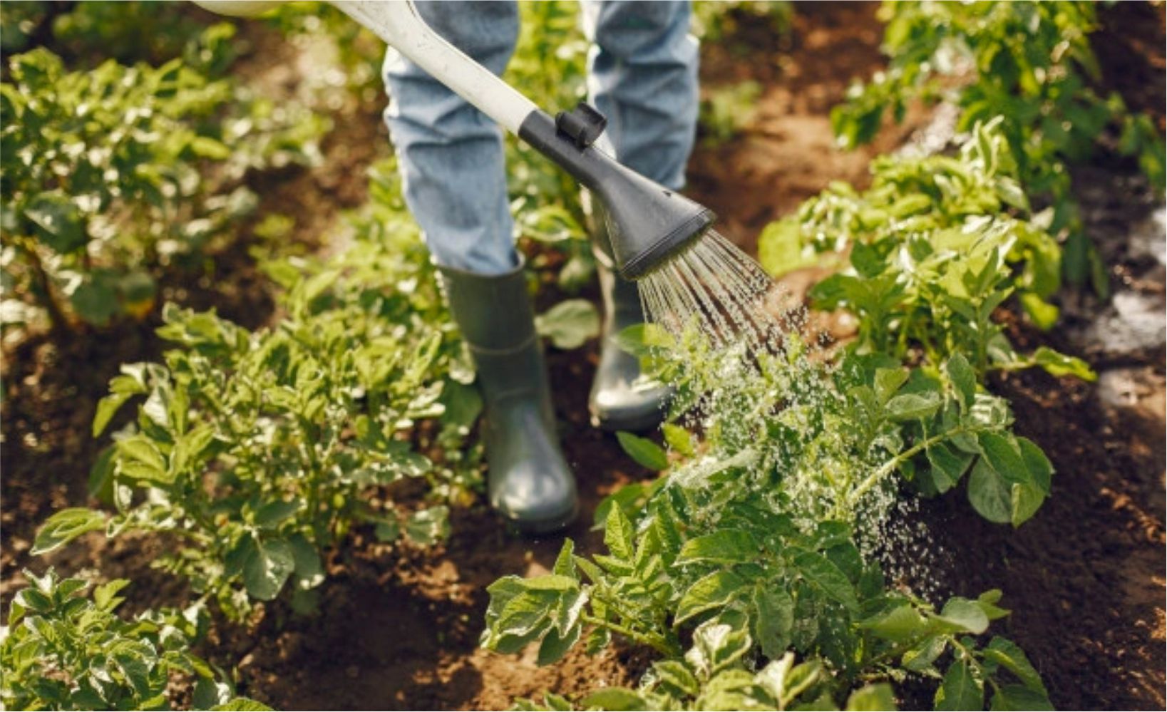 Farming 2