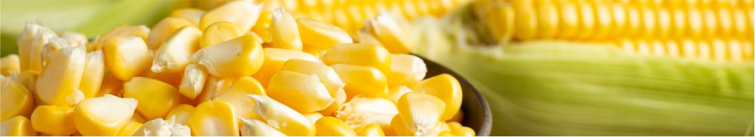https://www.pandagricnovum.com/wp-content/uploads/2021/10/Maize.jpg