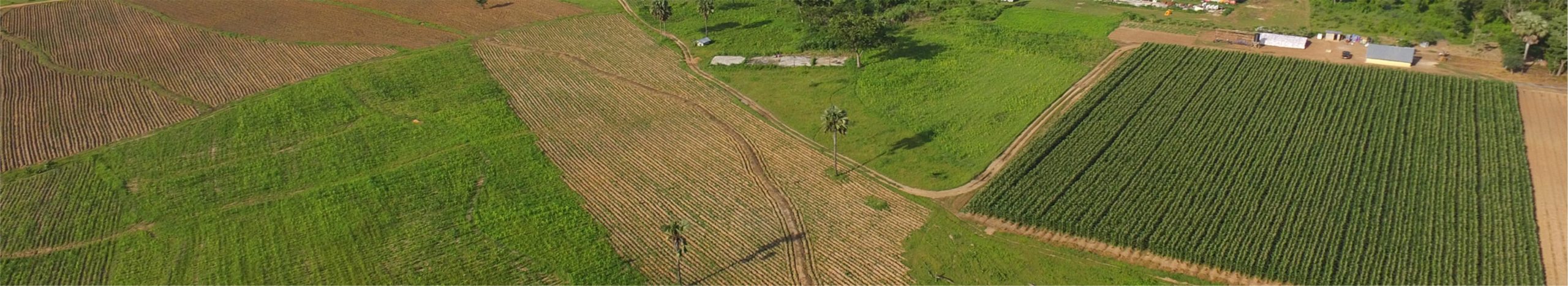 https://www.pandagricnovum.com/wp-content/uploads/2021/11/Farming.....-scaled.jpg