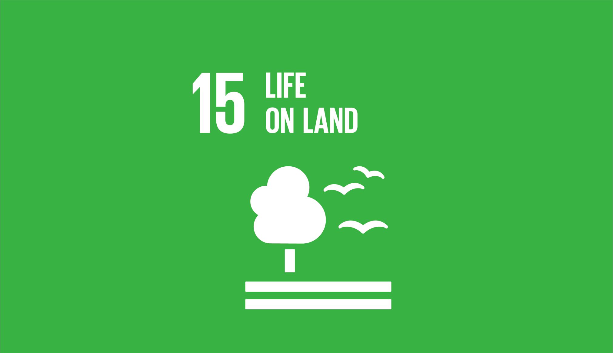 https://www.pandagricnovum.com/wp-content/uploads/2021/11/SDG-15.jpg