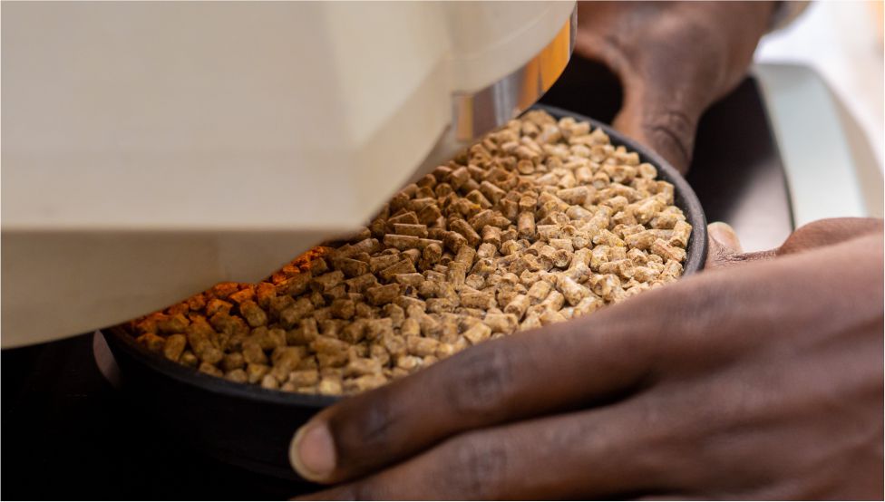 About 3 https://www.pandagricnovum.com/wp-content/uploads/2022/04/About-3.jpg